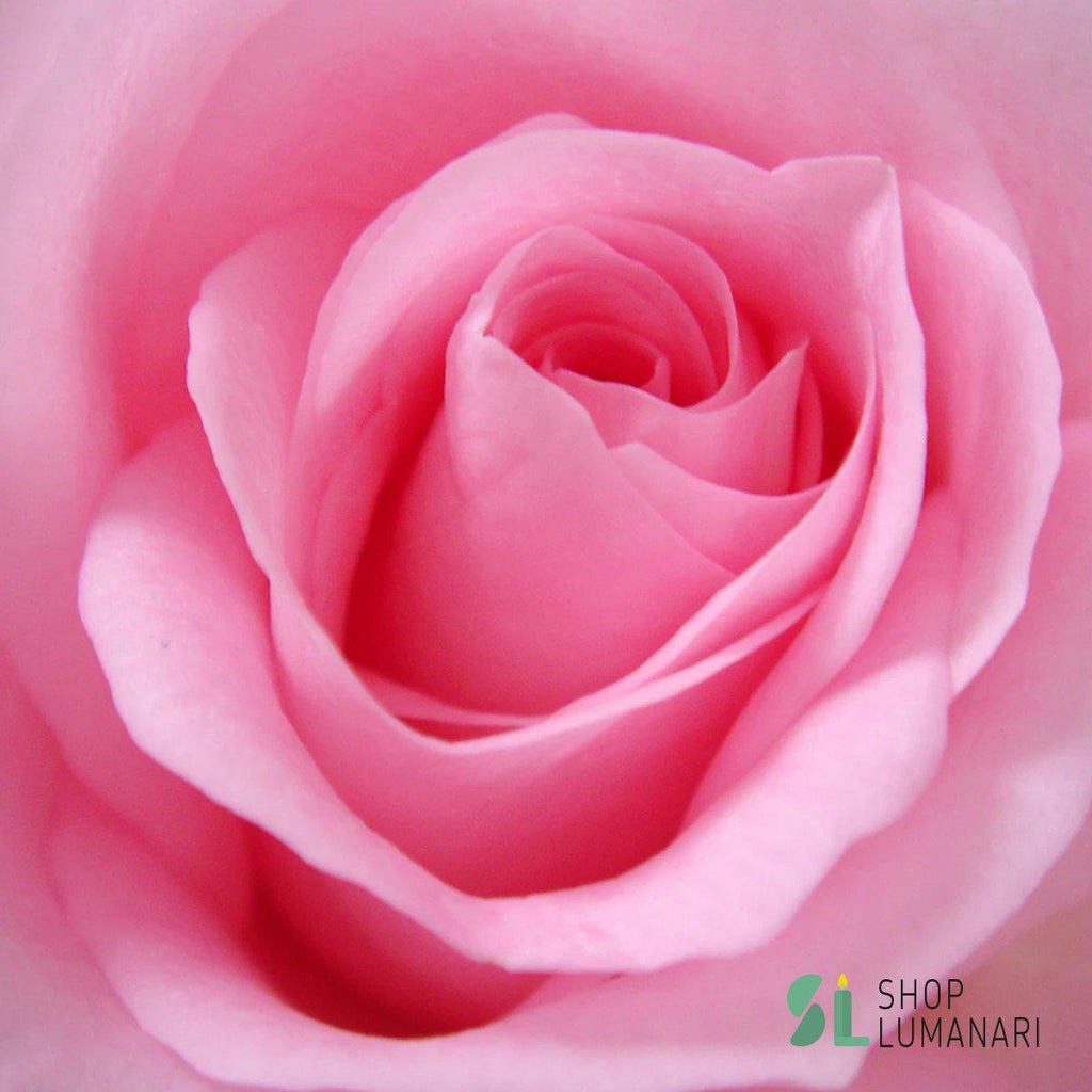 Parfum Pink Soft Rose - shoplumanari.ro